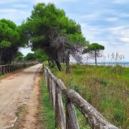 Bright Flat Overlooking The Sea-beahost Bibione